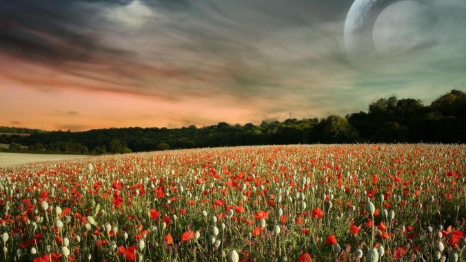 你怎么评价日本某个前空姐说：“如果我在经济舱，年薪2000万日元以下的乘客没有资格给我递名片”？